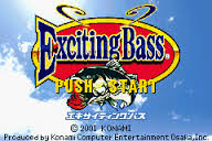 Exciting Bass